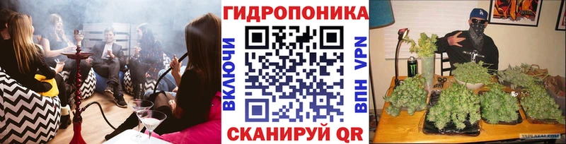 МАРИХУАНА гибрид  Магадан 